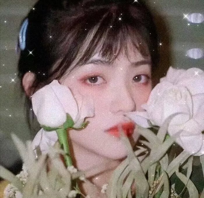 熊熊爱上你